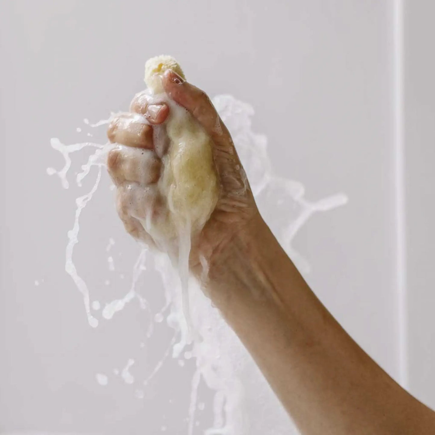 Esponja Natural para Bebés