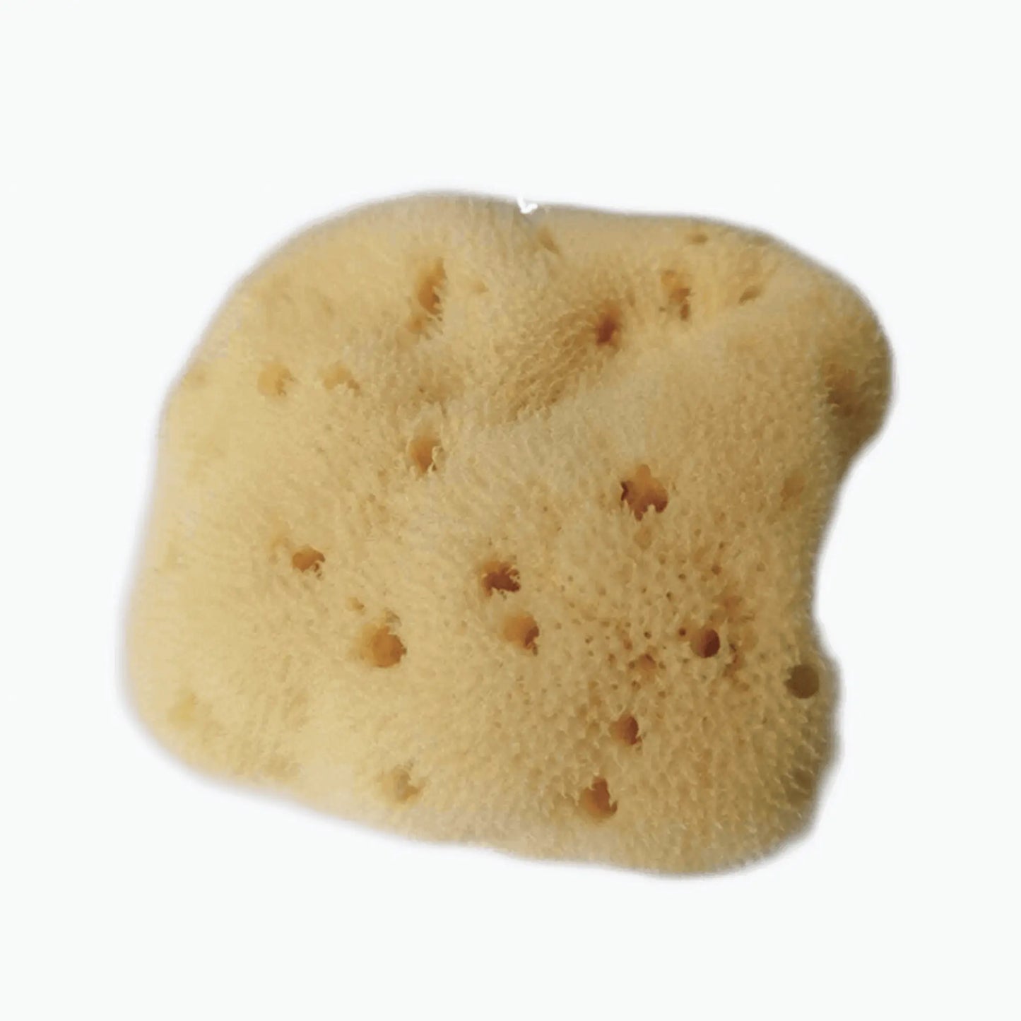 Esponja Natural para Bebés