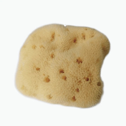 Esponja Natural para Bebés